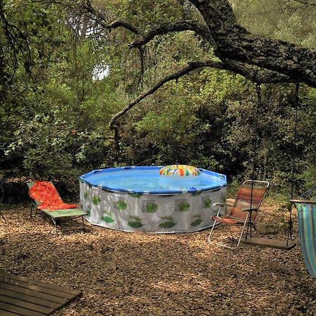 La Cabana Del Alcornoque Cordoue Extérieur photo