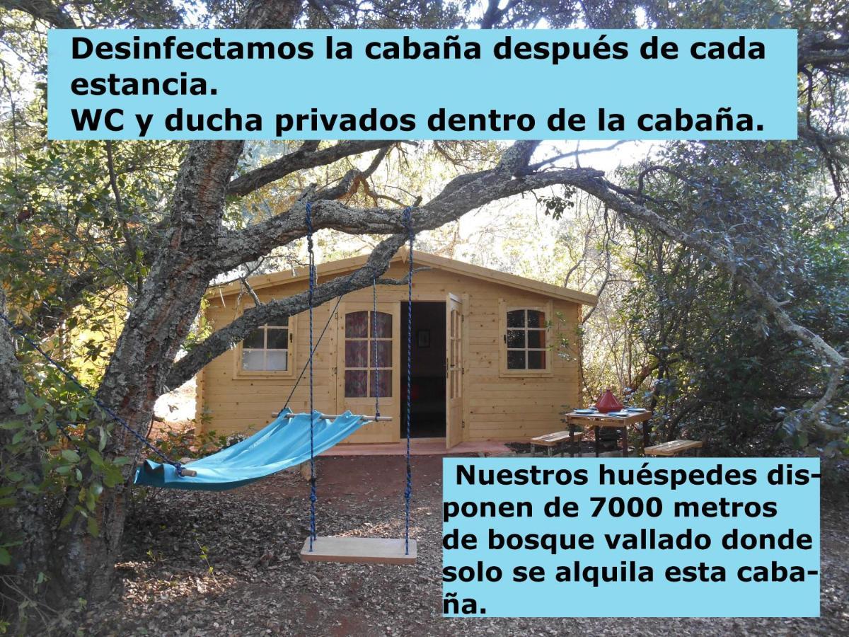La Cabana Del Alcornoque Cordoue Extérieur photo