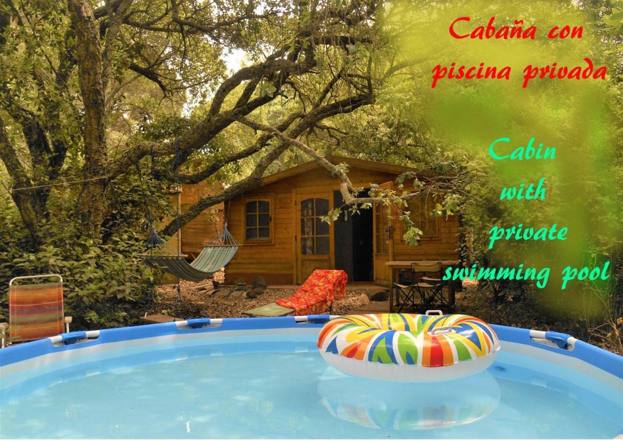 La Cabana Del Alcornoque Cordoue Extérieur photo