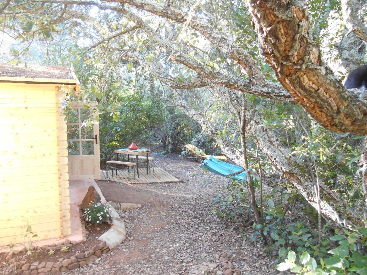 La Cabana Del Alcornoque Cordoue Extérieur photo